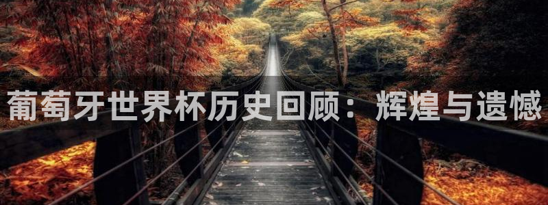 世界杯直播免费观看：葡萄牙世界杯历史回顾：辉煌与遗憾