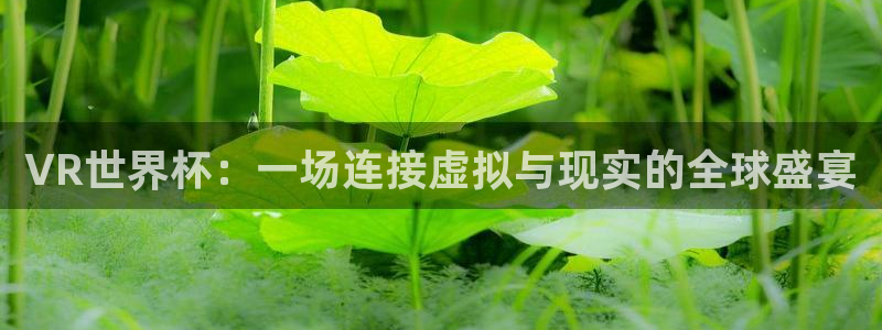 世界杯足球2026:VR世界杯:一场连接虚拟与现实的全球盛宴
