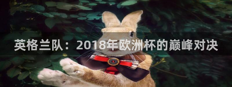 世界杯预选赛赛程表：英格兰队：2018年欧洲杯的巅峰对决