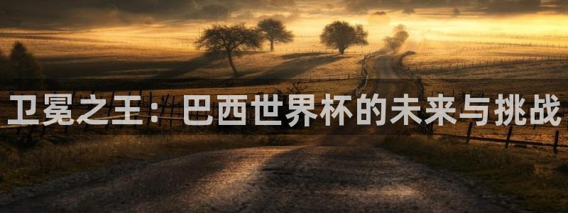 2026世界杯32强对阵图表：卫冕之王：巴西世界杯的未来与挑战