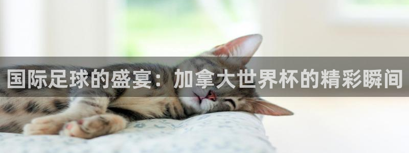 世界杯直播平台：国际足球的盛宴：加拿大世界杯的精彩瞬间