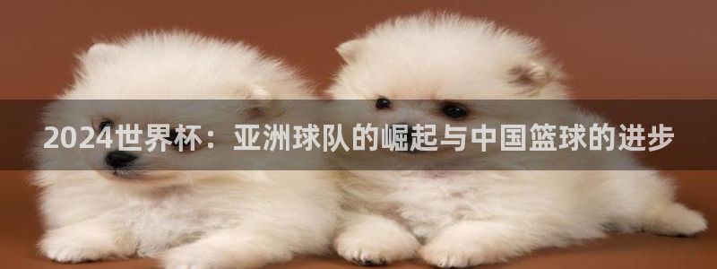 今年的世界杯：2024世界杯：亚洲球队的崛起与中国篮球的进步