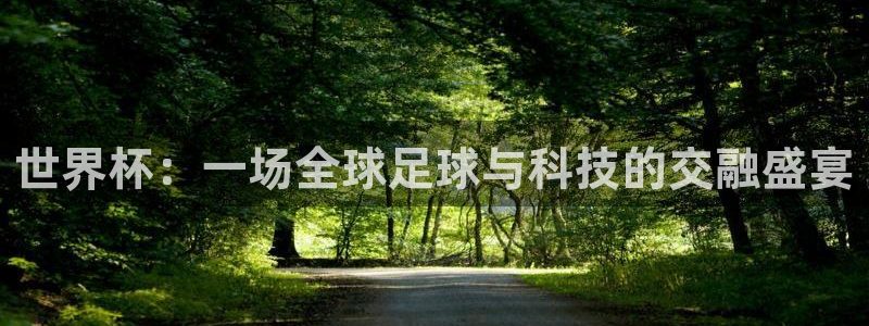 世界杯葡萄牙赛程：世界杯：一场全球足球与科技的交融盛宴