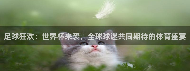 世界杯2026赛制：足球狂欢：世界杯来袭，全球球迷共同期待的体育盛宴