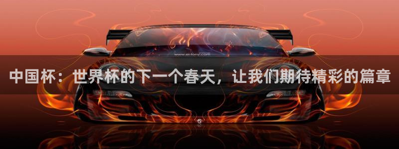 世界杯视频：中国杯：世界杯的下一个春天，让我们期待精彩的篇章