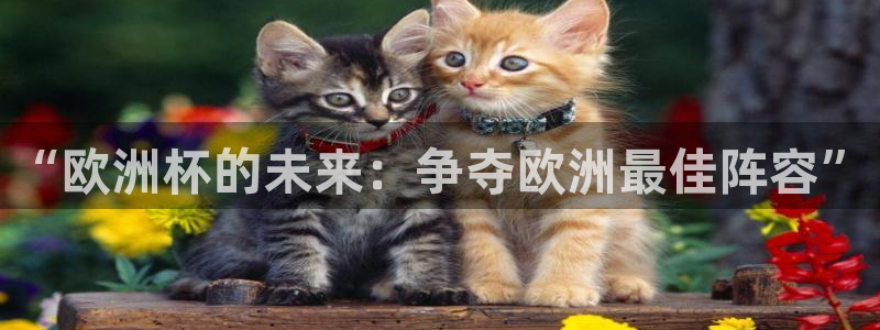 2026年世界杯：“欧洲杯的未来：争夺欧洲最佳阵容”